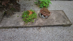 PLAAT NATUURSTEEN VOOR BONSAILANDSCHAP