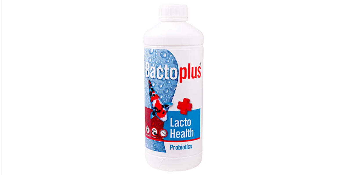 Bactoplus Lacto Health 1 L