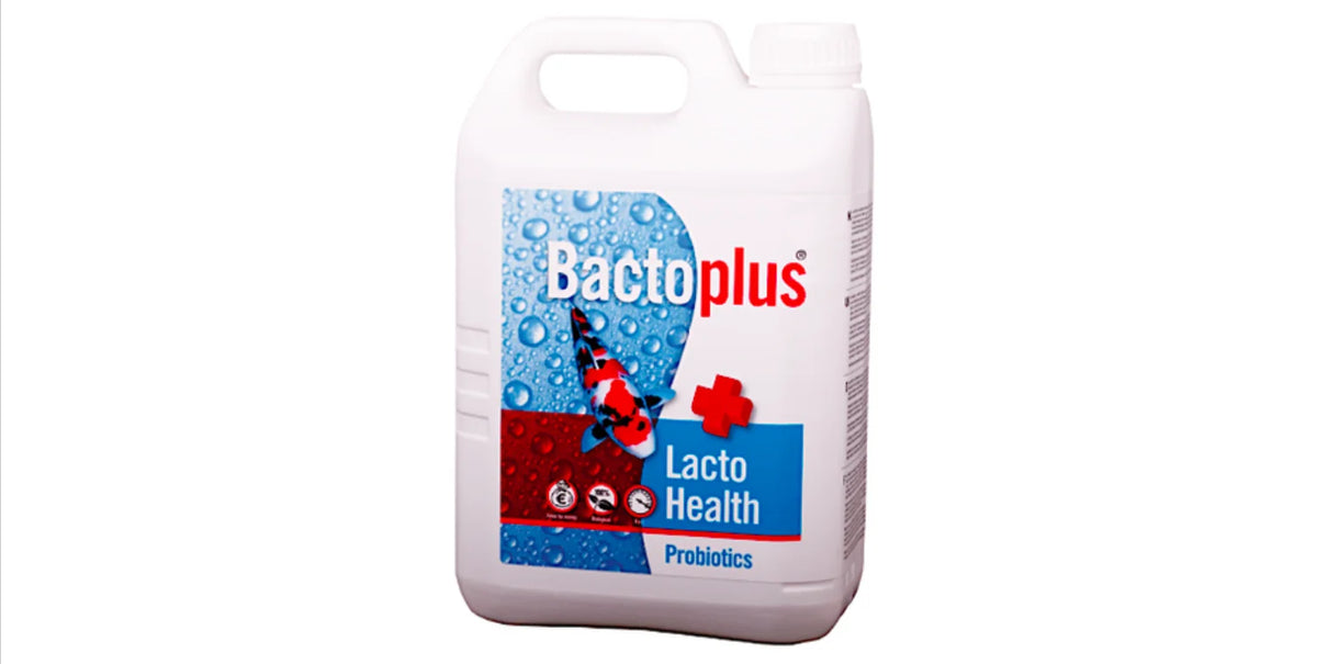 Bactoplus Lacto Health 2,5 L