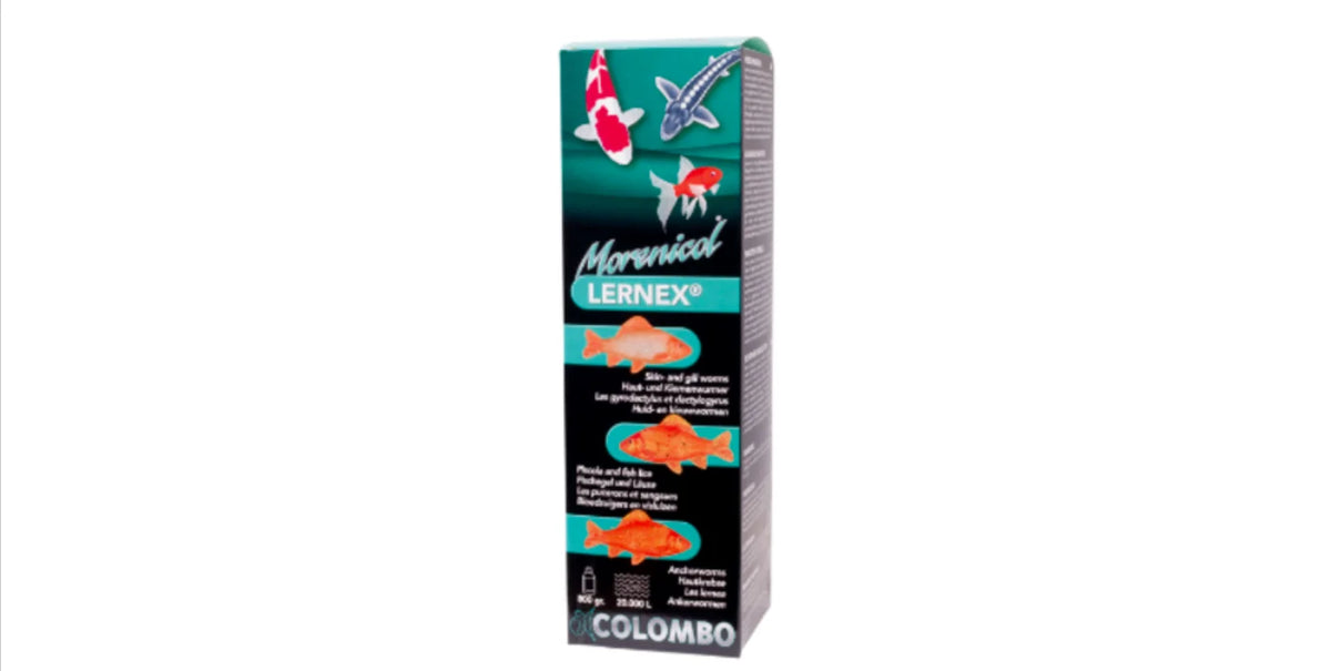Lernex 200 GR