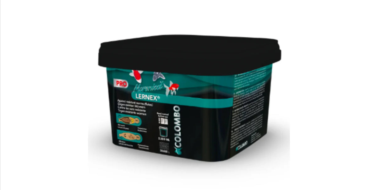 Lernex 2000 GR