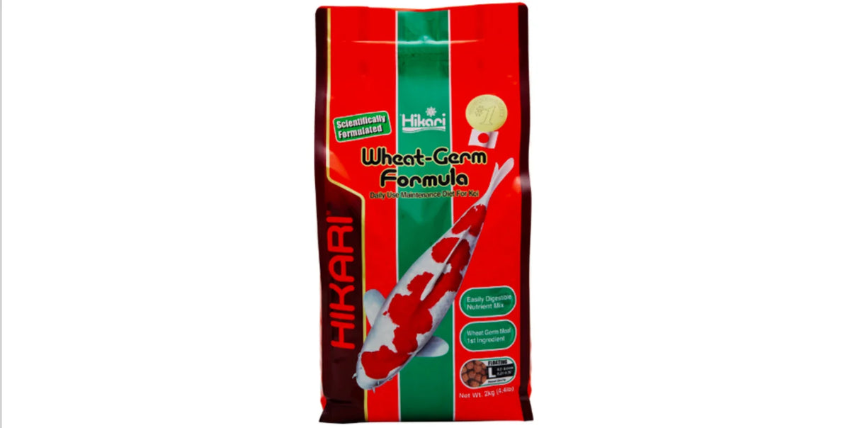 Hikari Wheat Germ Large 2 kg