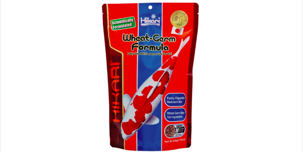 Hikari Wheat Germ Medium 500 gr